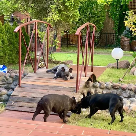 بيت ضيافة Kapitanska Przystan *