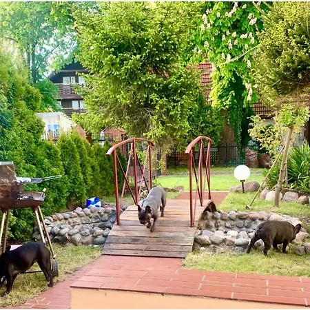 Kapitanska Przystan Chłopy