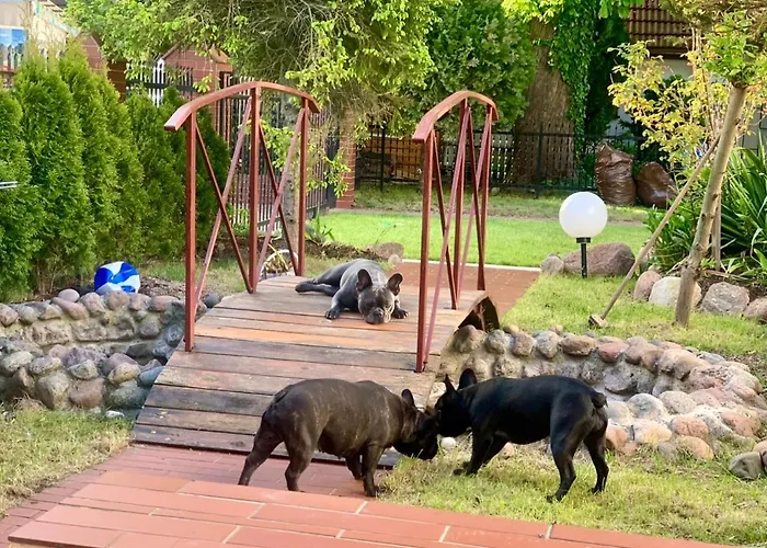 Gasthof Kapitanska Przystan *