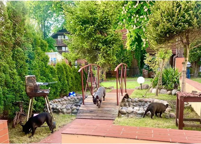 Kapitanska Przystan Chłopy