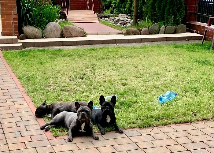 Kapitanska Przystan Gasthof Chłopy